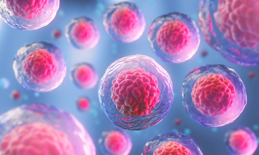 Stem Cell Solutions Stem Cell Banking Stafford, Tolland County, CT