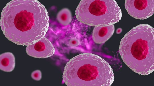 Regenerative medicine cells